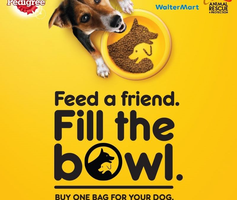 Pedigree Dog Feed Dog