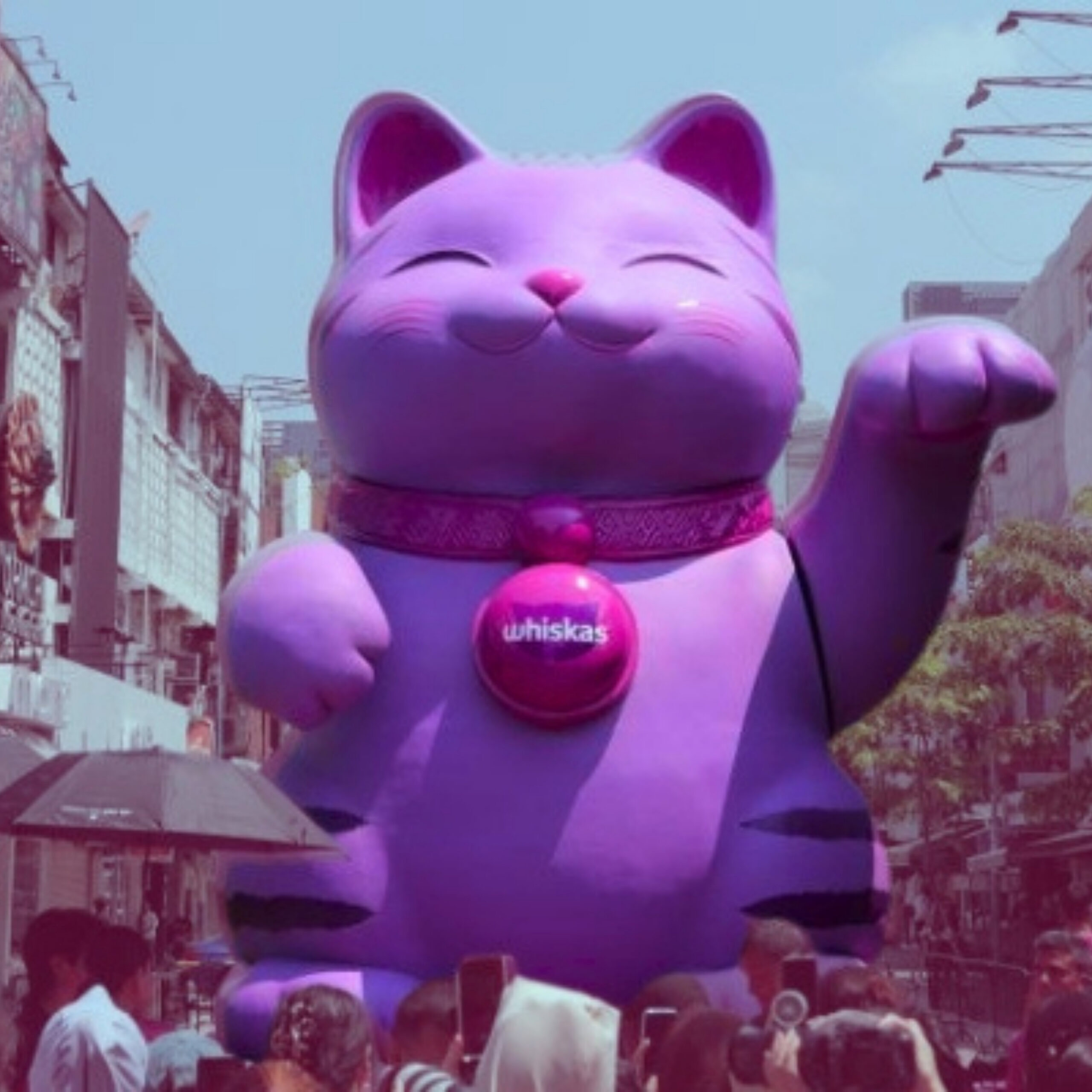 Whiskas image